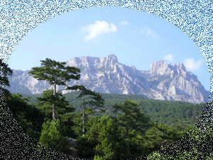 Крым. Судак. Природа